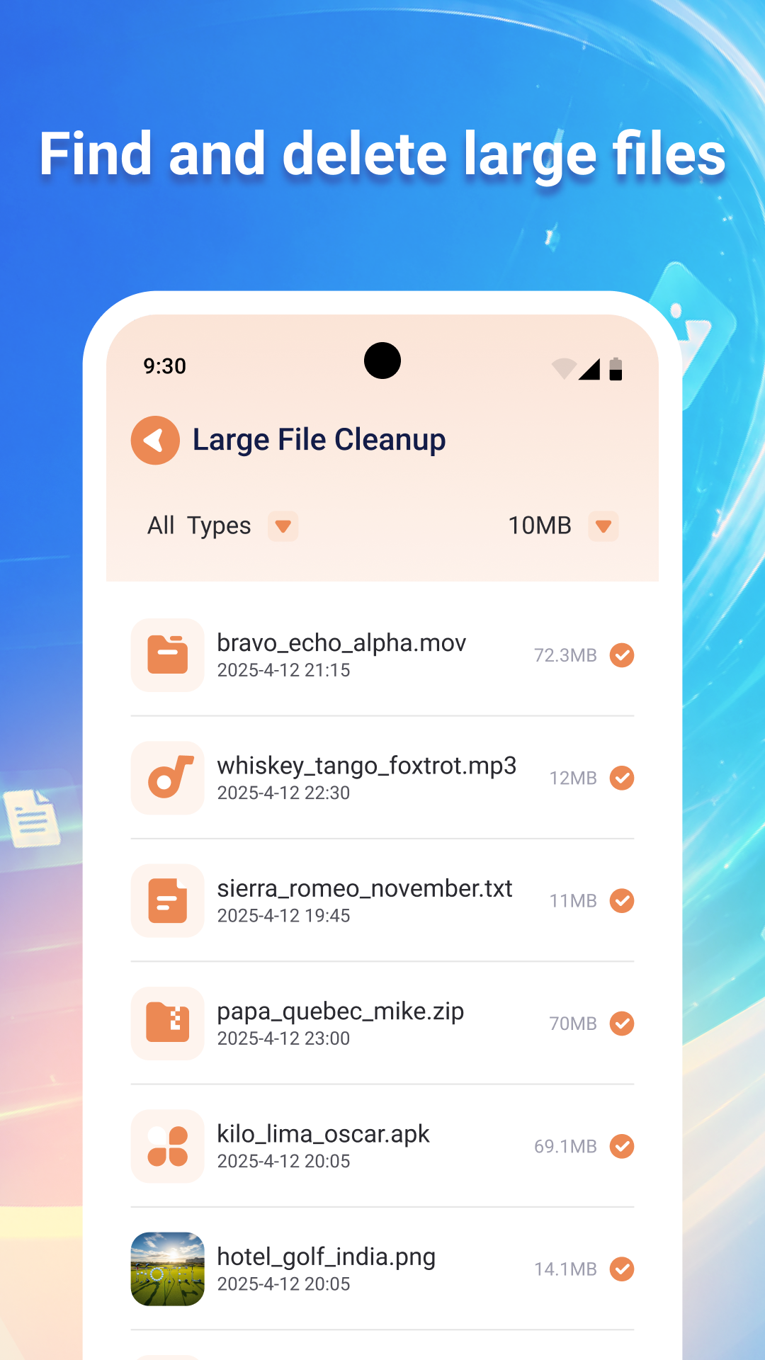 Large File Cleanup